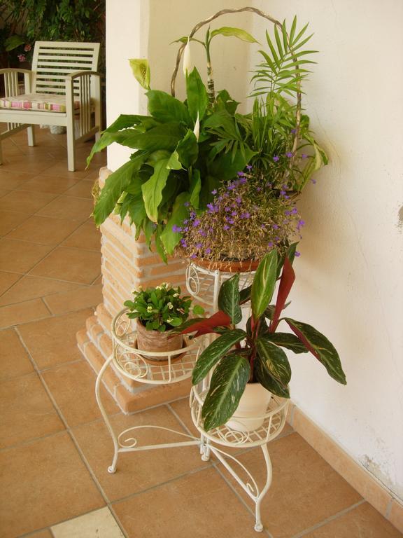 B&B Il Cantico Greccio Pokój zdjęcie