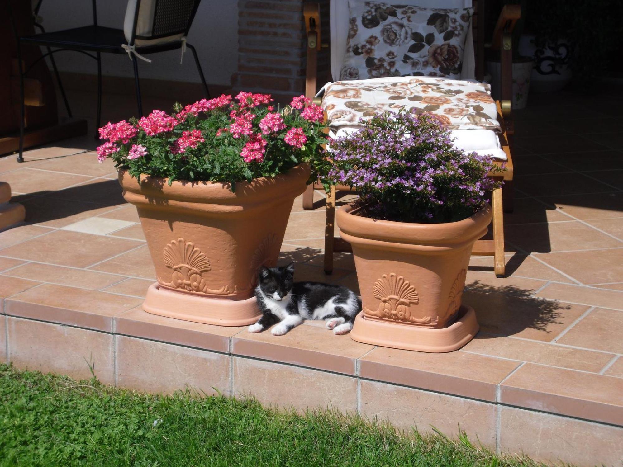 B&B Il Cantico Greccio Pokój zdjęcie